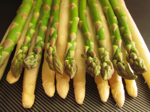 spargla biela