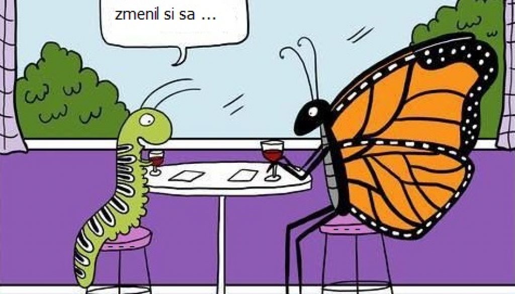 zmenil si sa - motyl